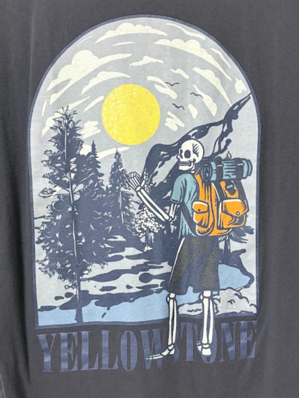 Call Your Mother Yellowstone Skeleton Tee